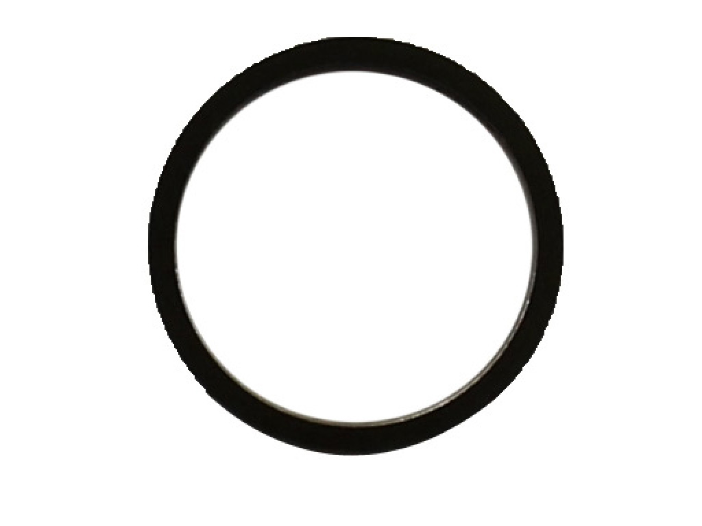Seal Ring