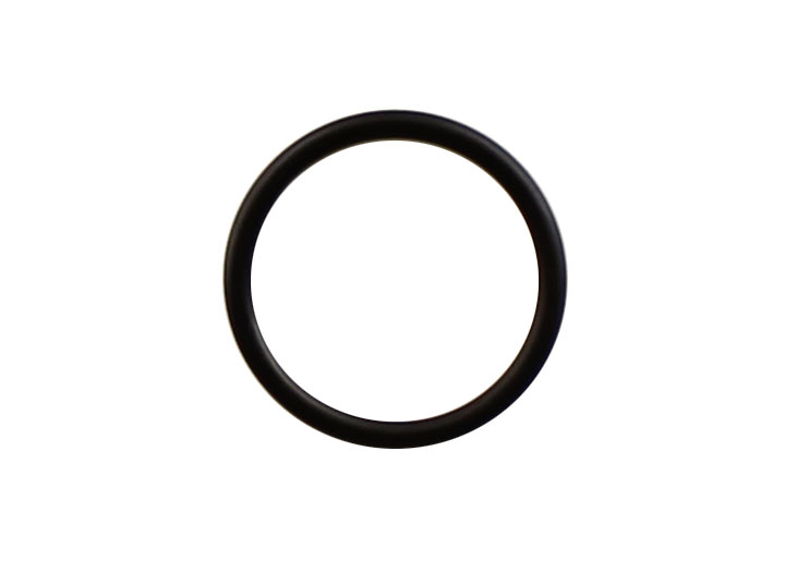 Dph Thermostat Housing Seal 