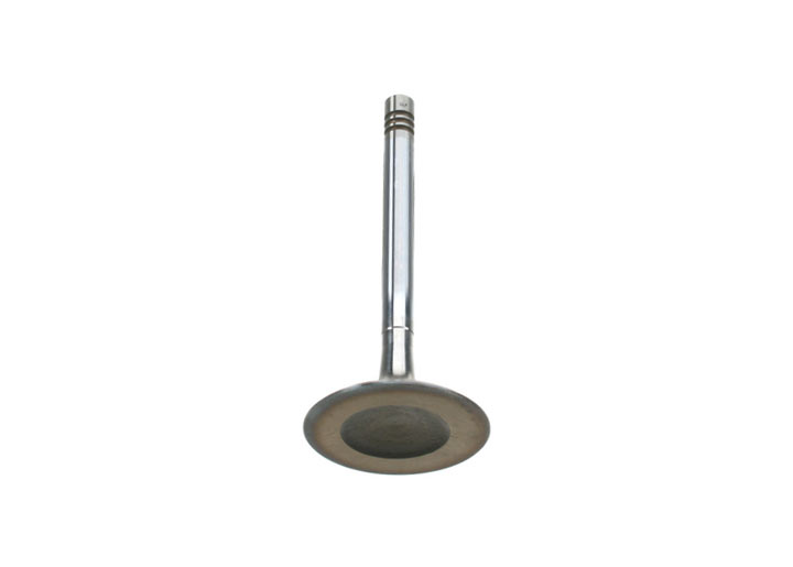  Absolute Excellence  Intake Valve 