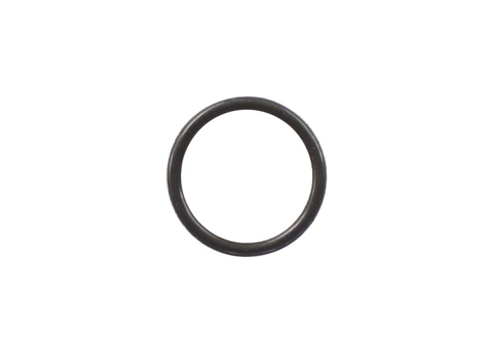 Victor Reinz Rubber O-ring