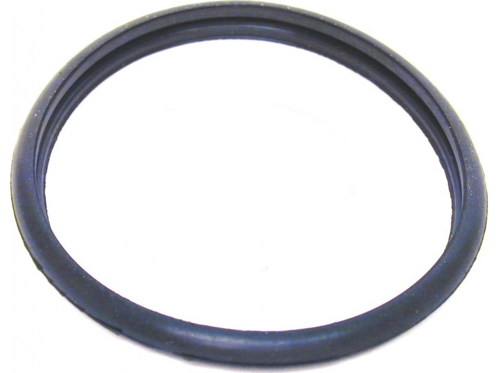 Thermostat O-ring