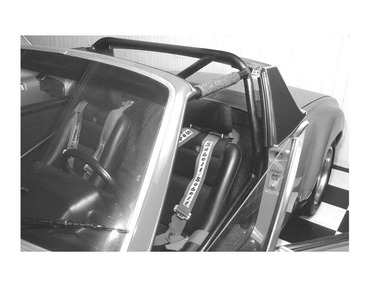 Rollbar Cage With Open Hoop With V Brace